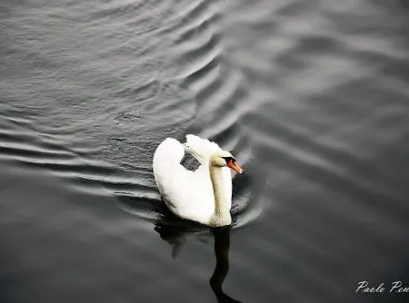 Lvg Collection - Il Portico Hotel Cannobio