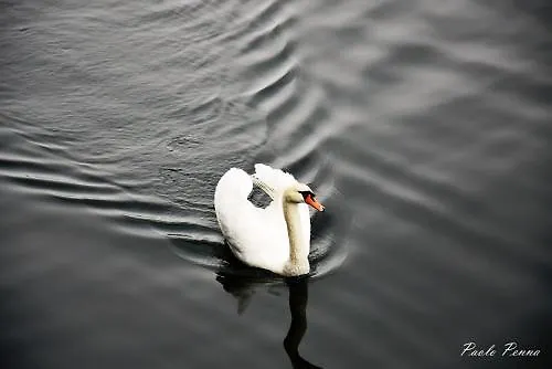 Lvg Collection - Il Portico 호텔 카노비오